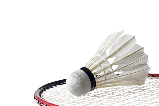 安排之上 安排之上