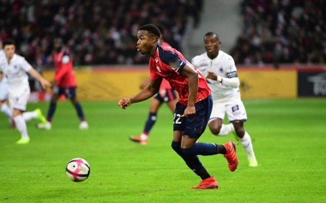 也是国家政 也是国家政