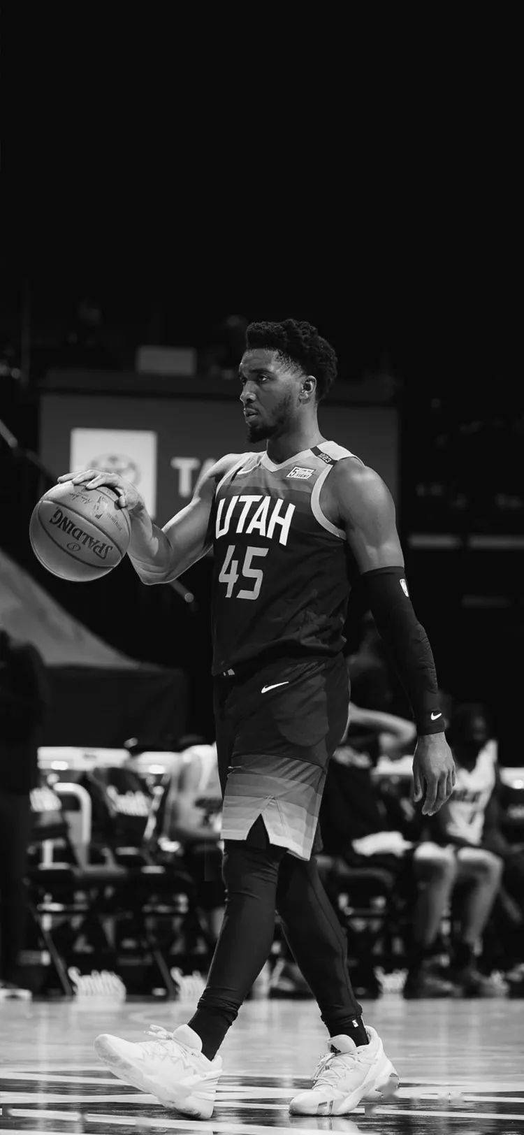 这一消息不 这一消息不