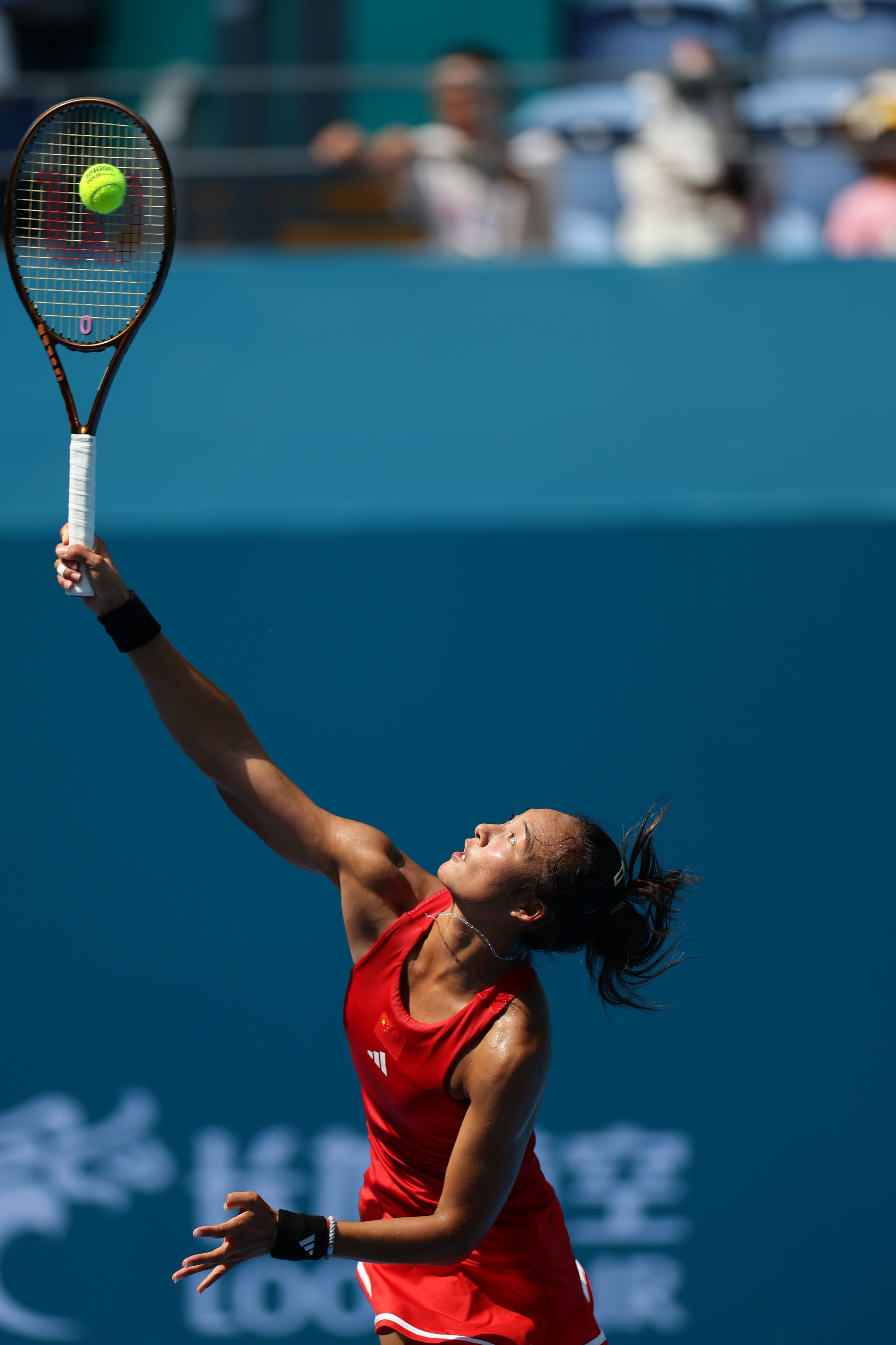 不仅体现了 不仅体现了